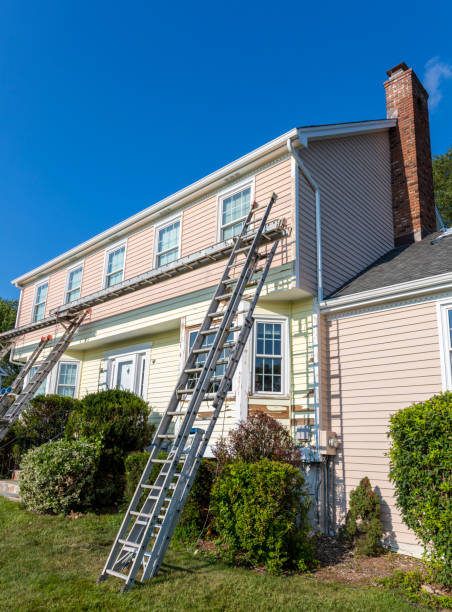 Best Stone Veneer Siding  in Laurel, FL