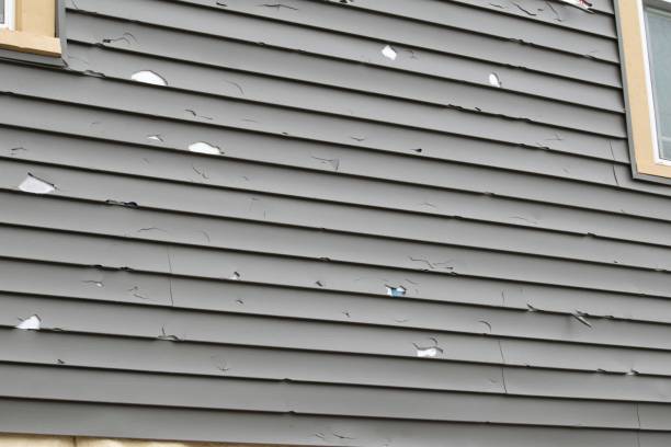 Custom Trim and Detailing for Siding in Laurel, FL